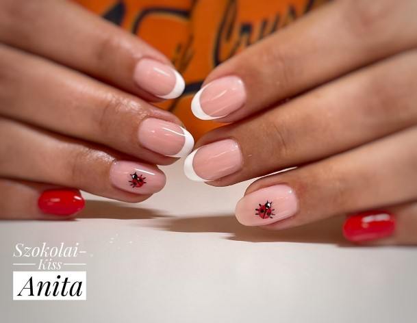 Luscious Designs Womens Ladybug Nail Ideas