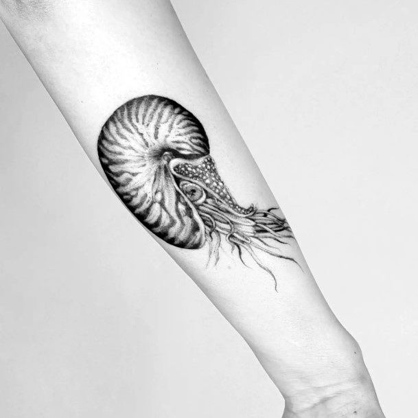 Luscious Designs Womens Nautilus Tattoo Ideas