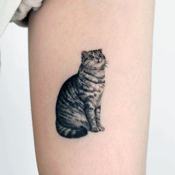 Luscious Designs Womens Pet Tattoo Ideas