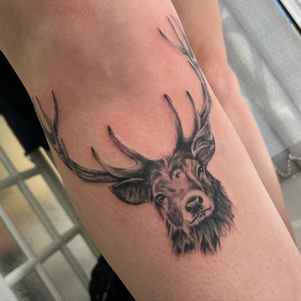 Top 100 Best Caribou Reindeer Tattoos For Women Animal Design Ideas