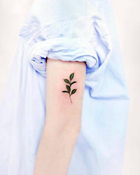 Magnificent Leaf Tattoo For Girls