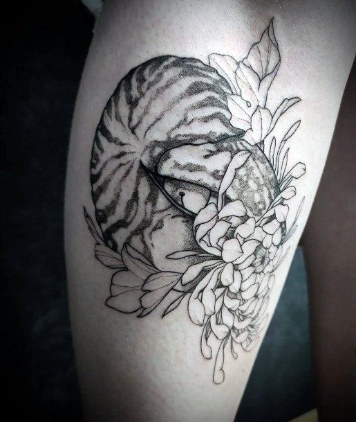 Magnificent Nautilus Tattoo For Girls