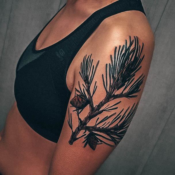 Magnificent Pine Tree Tattoo For Girls