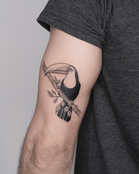 Magnificent Toucan Tattoo For Girls