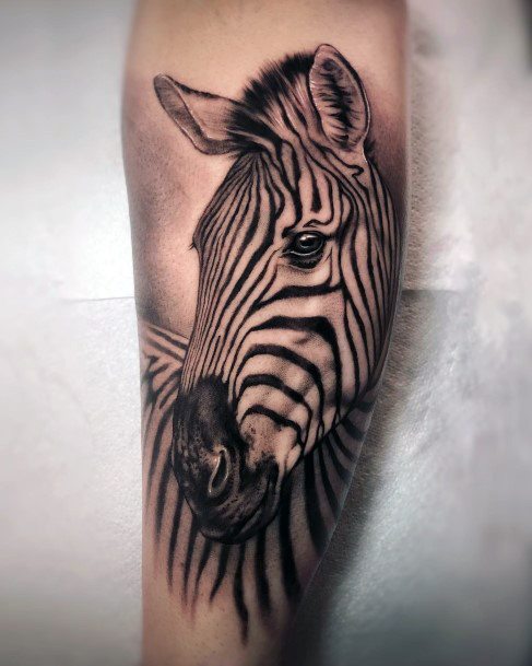 Magnificent Zebra Tattoo For Girls