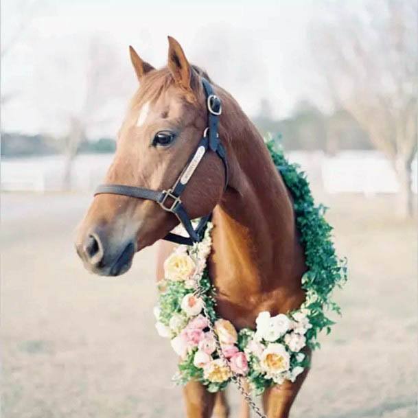 Marvelous Floral Greenery Garland Cute Horse Wedding Ideas