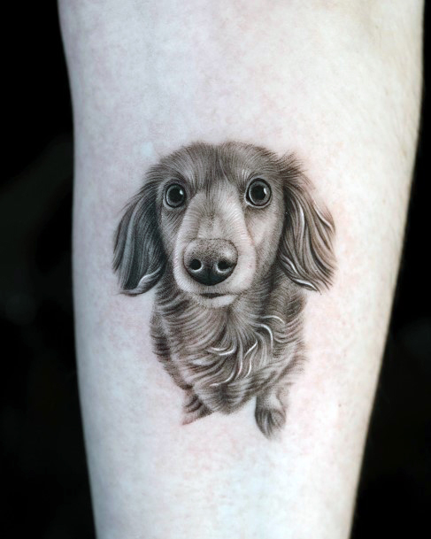 Marvelous Womens Tattoos Dachshund