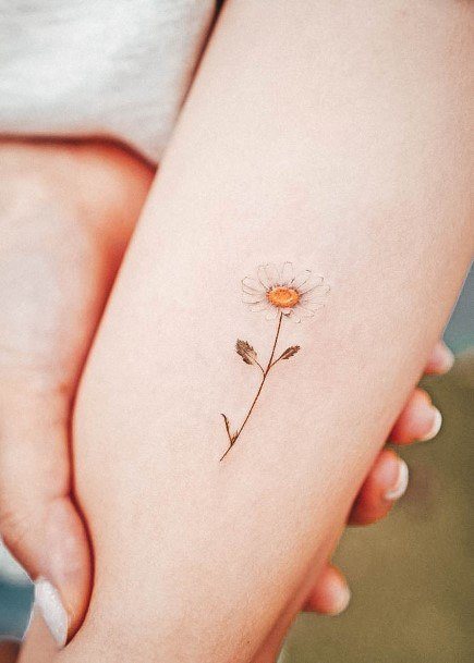 Marvelous Womens Tattoos Daisy