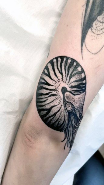 Marvelous Womens Tattoos Nautilus