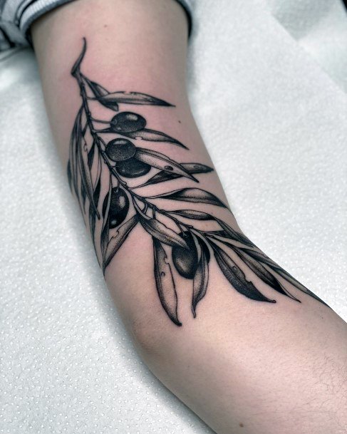 Marvelous Womens Tattoos Olive Branch
