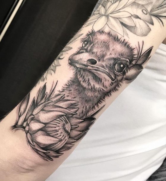 Marvelous Womens Tattoos Ostrich