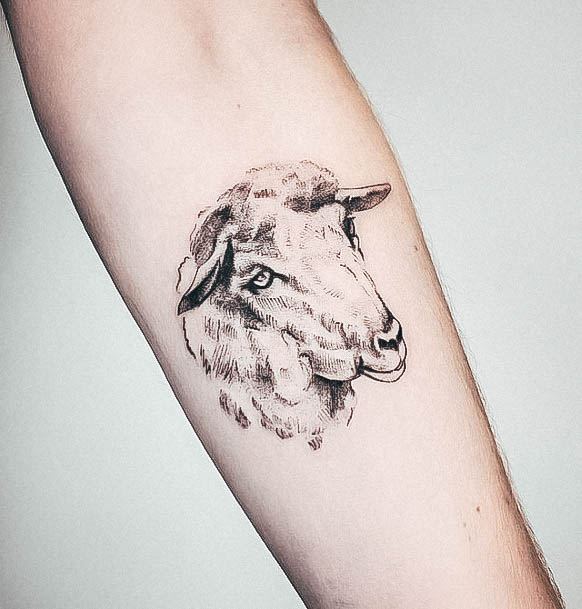 Marvelous Womens Tattoos Sheep