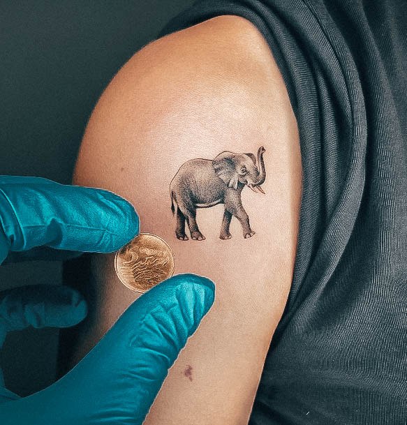 Marvelous Womens Tattoos Small Elephant