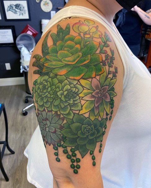 Marvelous Womens Tattoos Succulent