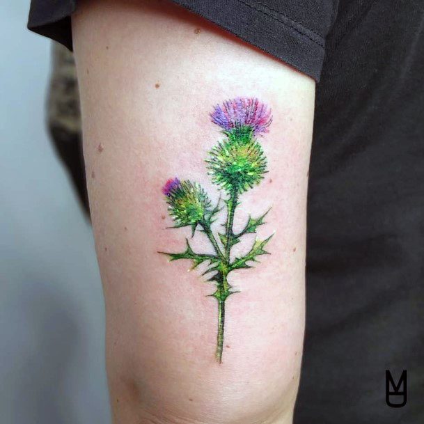 Marvelous Womens Tattoos Thistle