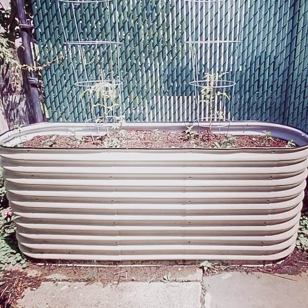 Metal Ideas For Backyard Vegtable Gardens Galvanized Steel Livestock Tank