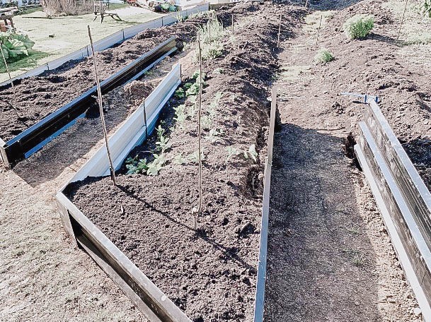 Metal Ideas For Raised Garden Beds