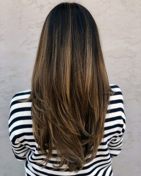 Mid Back Length Hair Long Layered Cut Straight Hair