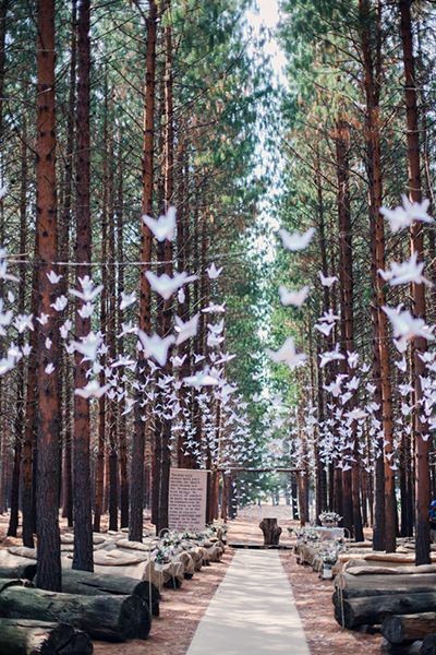 Mind Blowing Forest Wedding Ceremony Celebrations