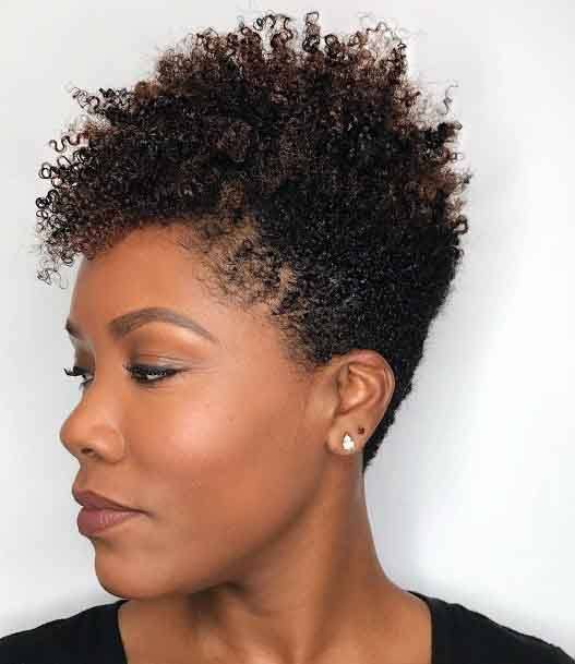 Miniature Curls Brown Hairstyle For Black Women
