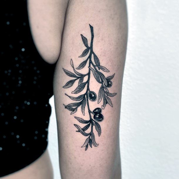 Minimal Olive Branch Tattoo For Women