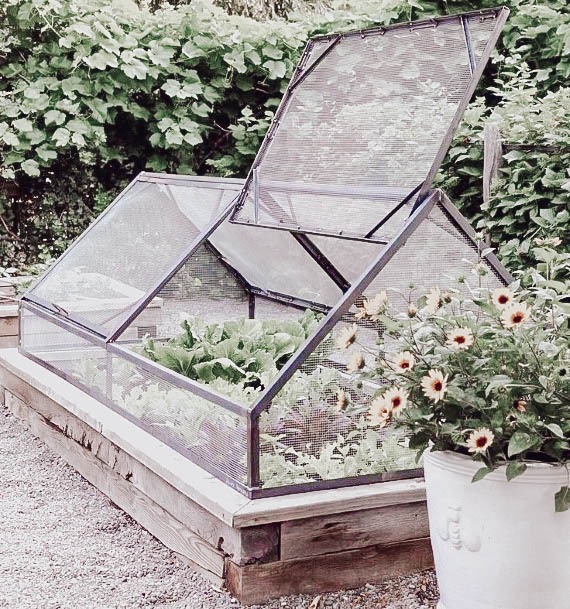 Modern Designs For Vegtable Garden Beds