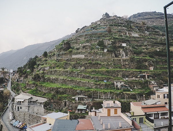 Mountain Vinyards Cinque Terre