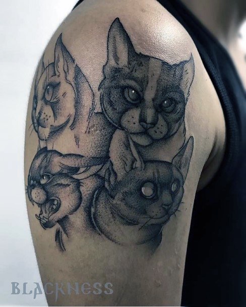 Mutiple Cat Tattoos For Women Arms