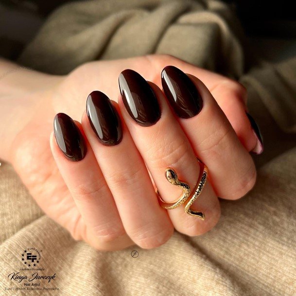 Nail Ideas Dark Brown Design For Girls