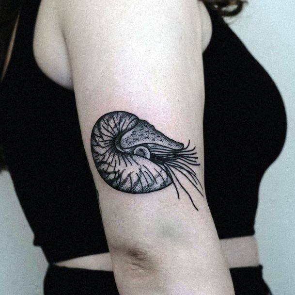 Nautilus Tattoo For Ladies