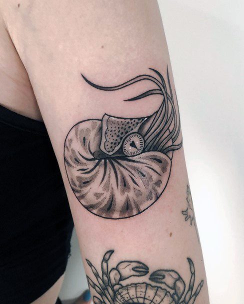 Nautilus Tattoos Feminine Ideas