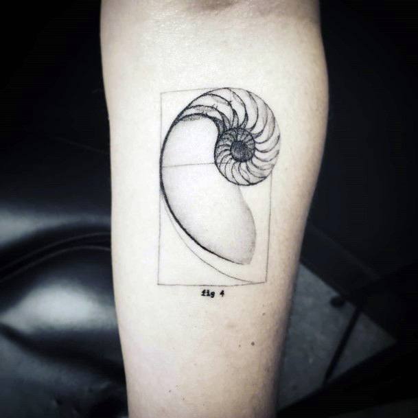 Nautilusic Womens Nautilus Tattoo Designs