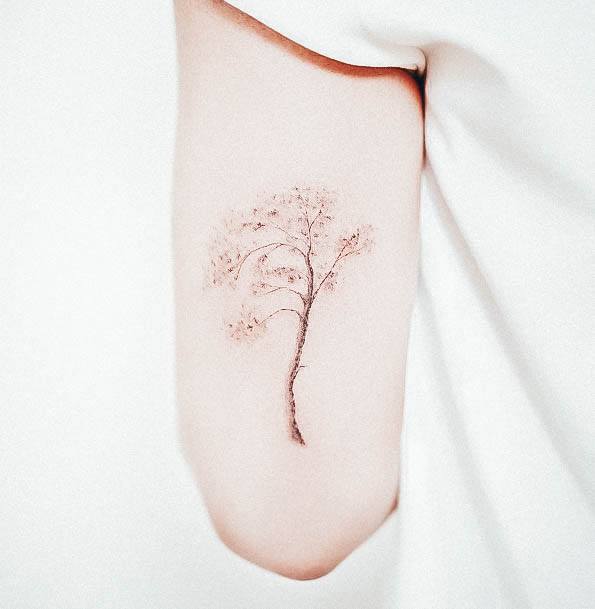 Neat Pine Tree Tattoo On Female