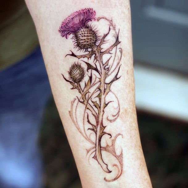 Neat Thistle Tattoo On Female