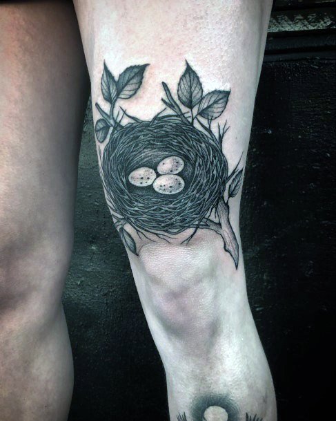 Nice Birds Nest Tattoos For Women