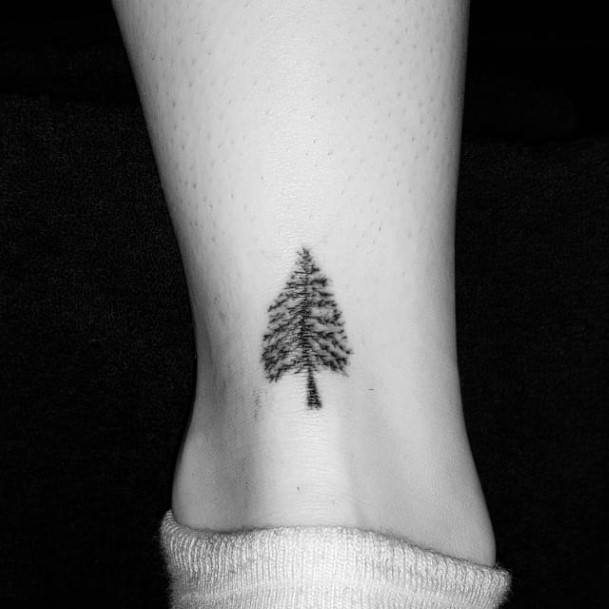 Nice Pine Tree Tattoos For Women