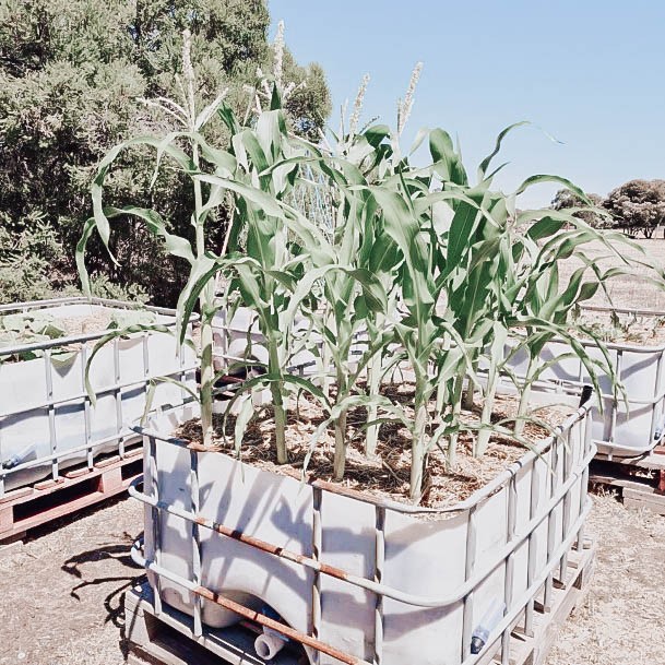 Nice Plastic Raised Garden Bed Ideas