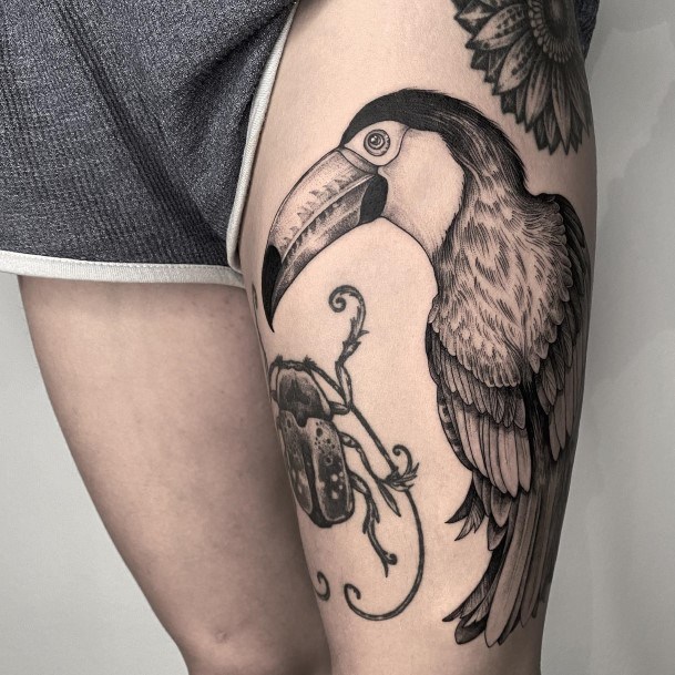 Nice Toucan Tattoos For Women