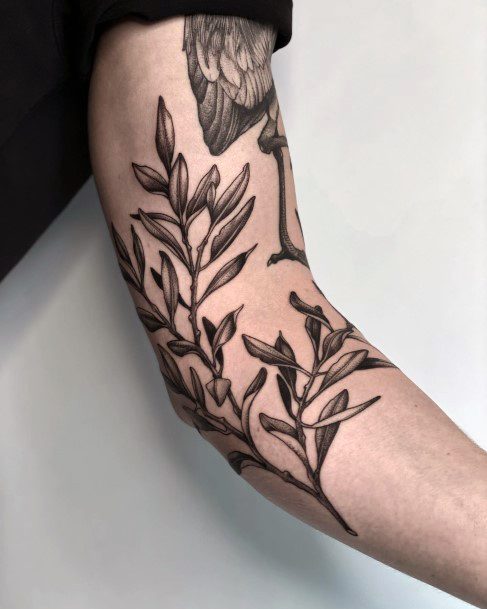 Olive Branch Tattoo Feminine Designs