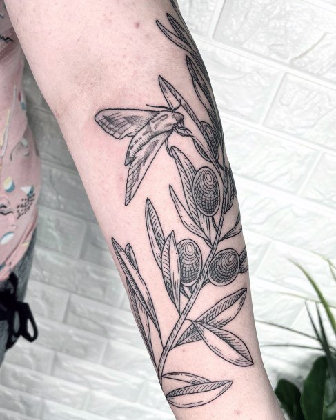 Olive Branch Tattoos Feminine Ideas