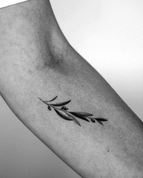 Olive Branch Tattoos For Girls