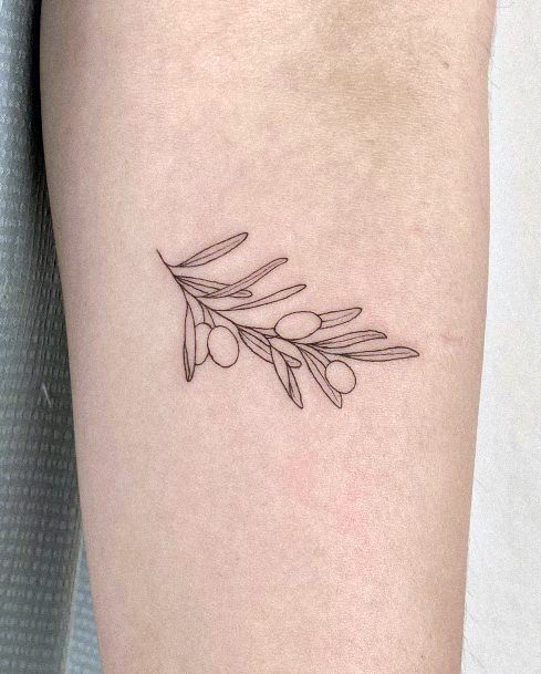 Olive Branch Womens Tattoo Ideas