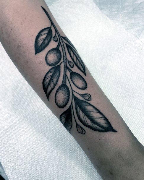 Olive Branchic Womens Olive Branch Tattoo Designs
