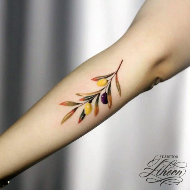 Olive Tree Tattoos For Girls