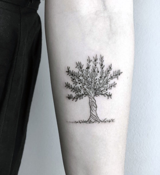 Olive Treeic Womens Olive Tree Tattoo Designs