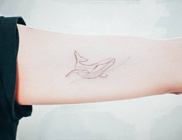 Ornate Tattoos For Females Dolphin