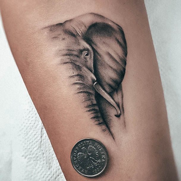 Ornate Tattoos For Females Small Elephant