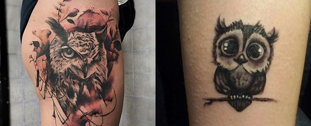 Top 130 Best Owl Tattoos For Women – Nocturnal Bird Design Ideas