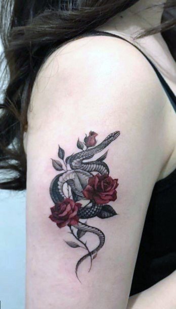 Pair Of Red Roses And Black Snake Tattoo Womens Uppar Arms