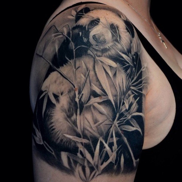 Panda Tattoo Womens Arms